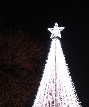 b0129008_10174561.jpg