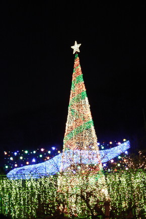 b0129008_1021999.jpg