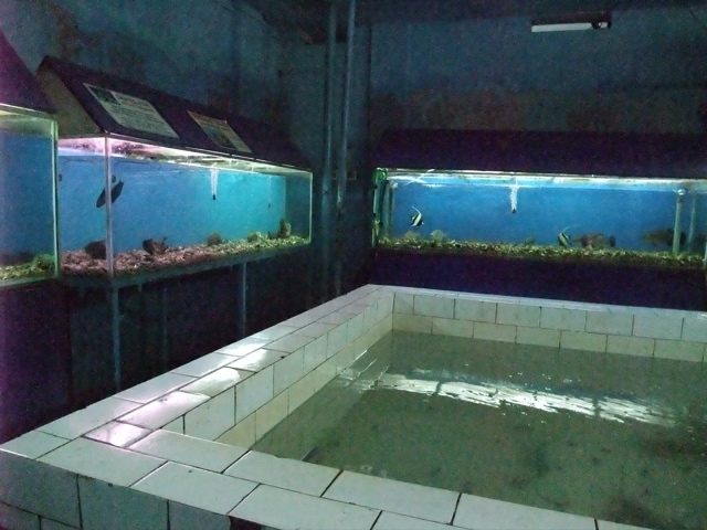 d0094310_16593194.jpg