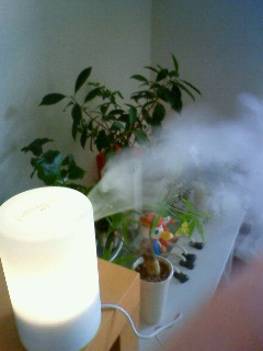 d0138212_22172187.jpg