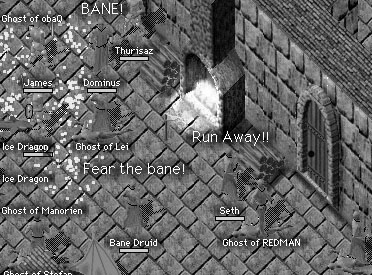 e0007017_8544978.jpg