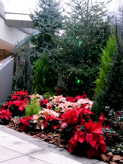 e0083517_102043.jpg