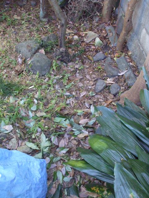 b0096418_19245152.jpg