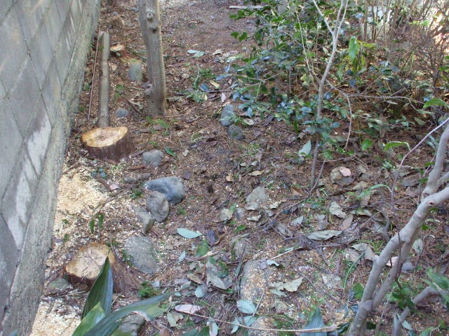 b0096418_19253286.jpg