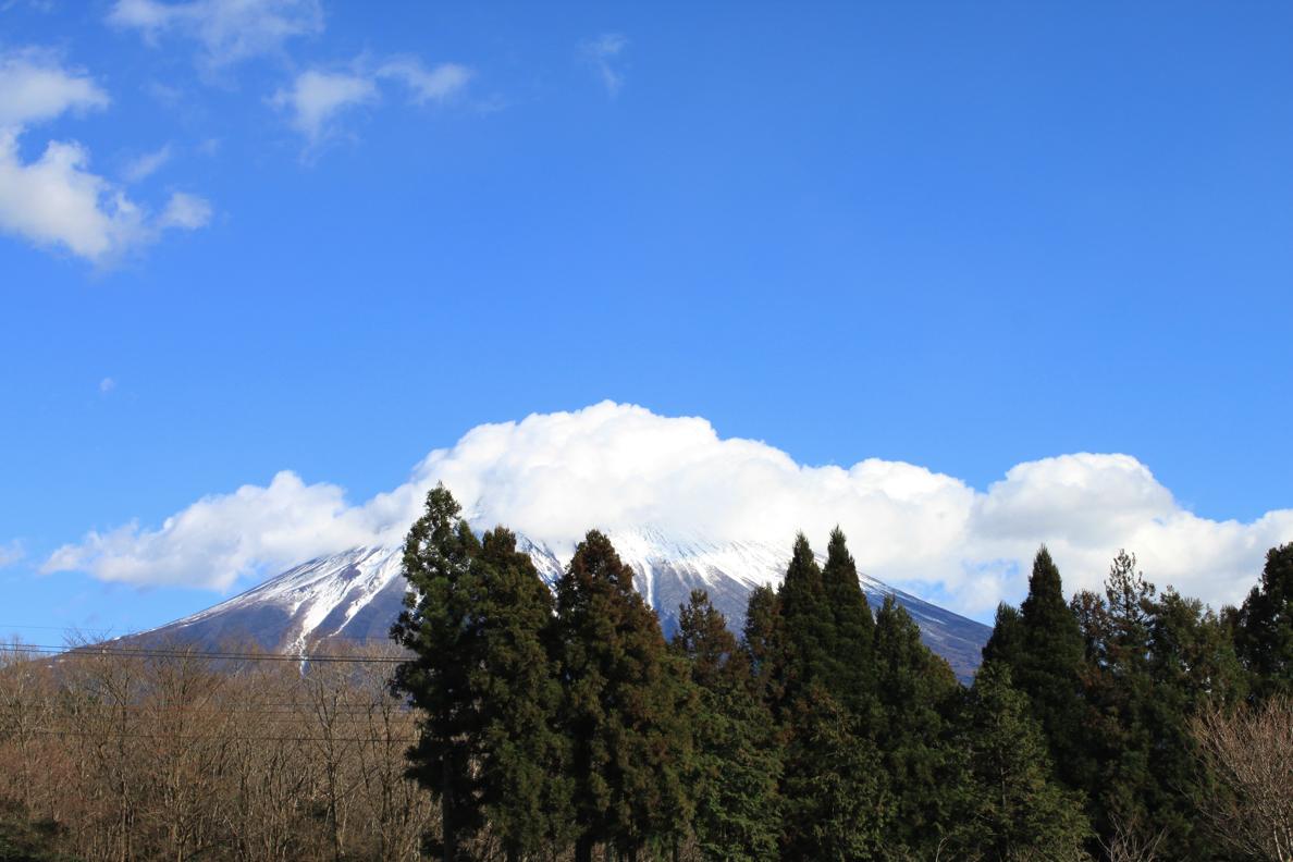 b0183923_21395233.jpg