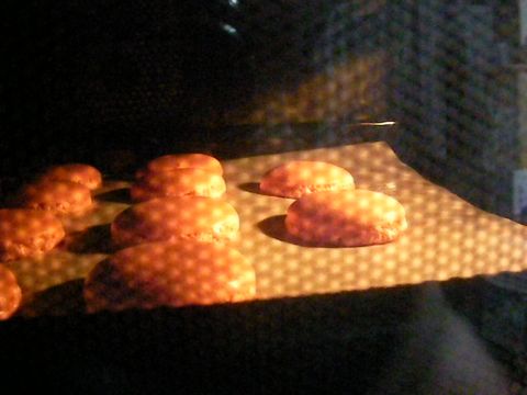 e0107725_17375719.jpg