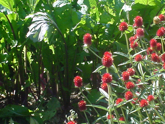 d0004627_0204749.jpg
