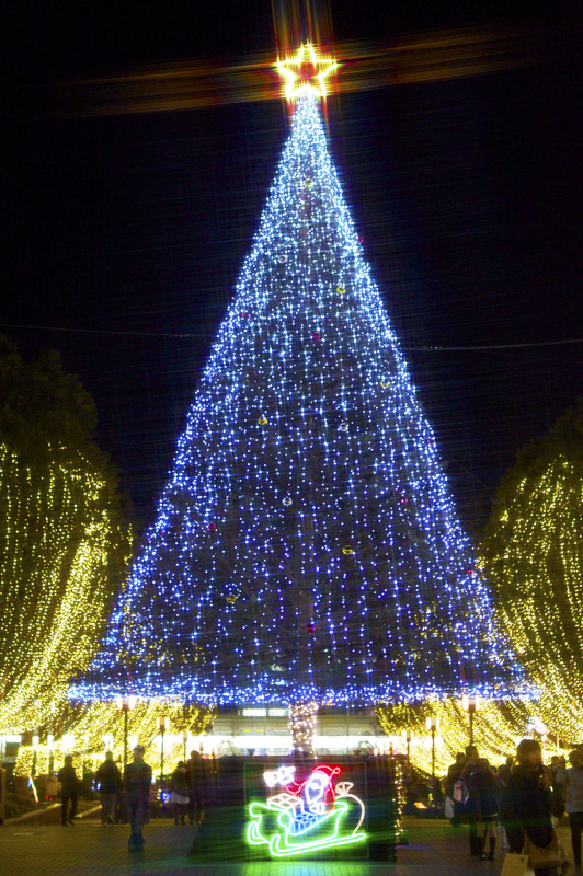 e0044635_22442847.jpg