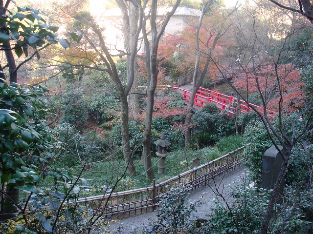 a0046339_20202186.jpg