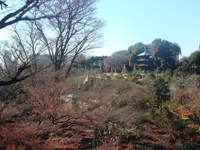 a0046339_2031584.jpg
