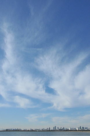f0094843_145655.jpg