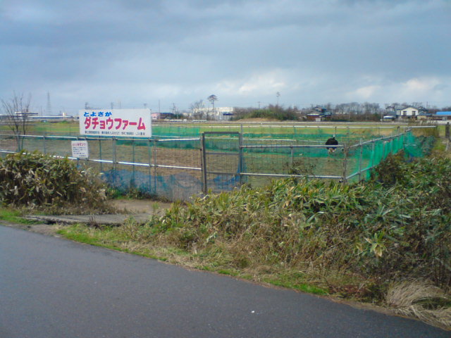 c0104445_22345024.jpg