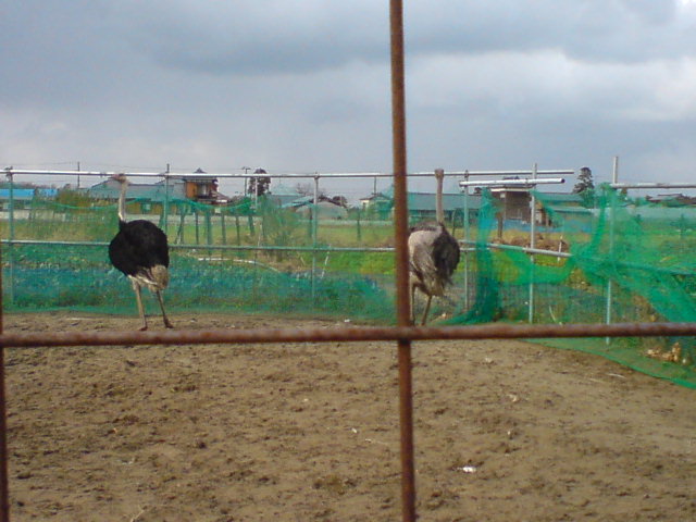 c0104445_22351862.jpg