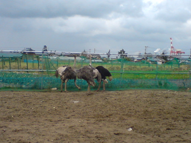 c0104445_22353424.jpg