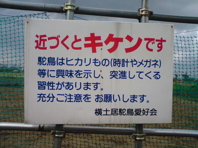 c0104445_22355066.jpg