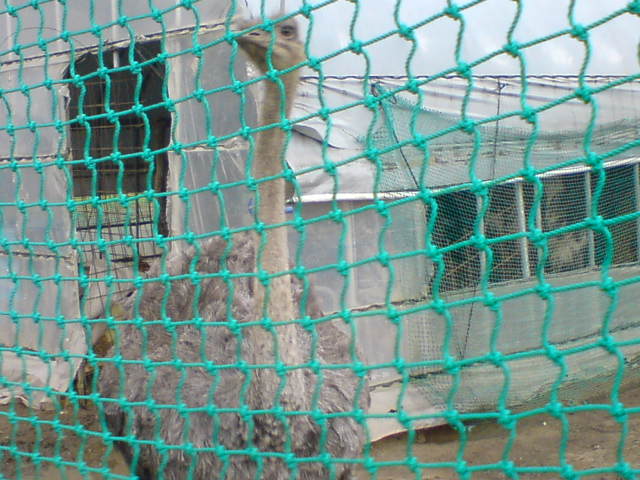 c0104445_2240446.jpg