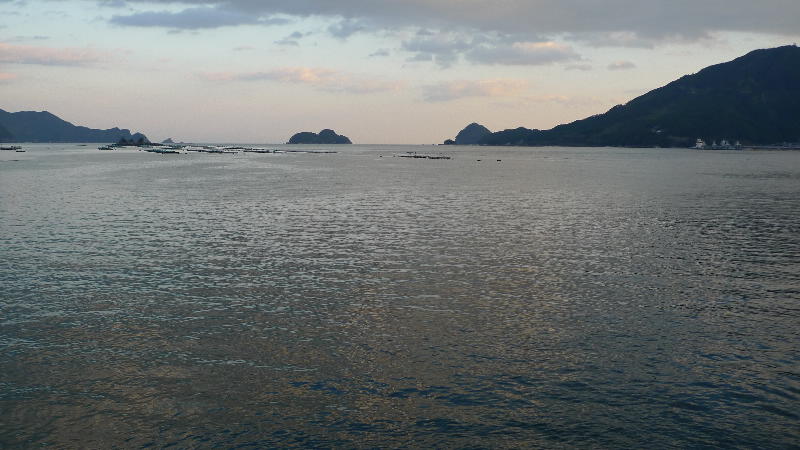 e0111346_1743286.jpg