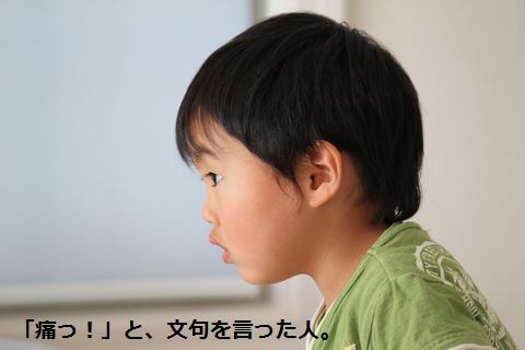 a0090451_0354527.jpg