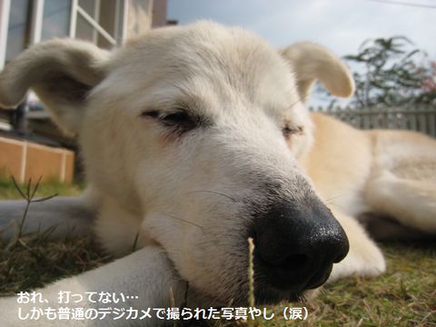 a0090451_040692.jpg