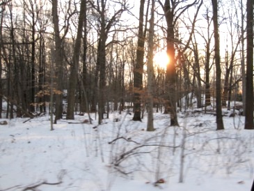 b0173754_1283521.jpg