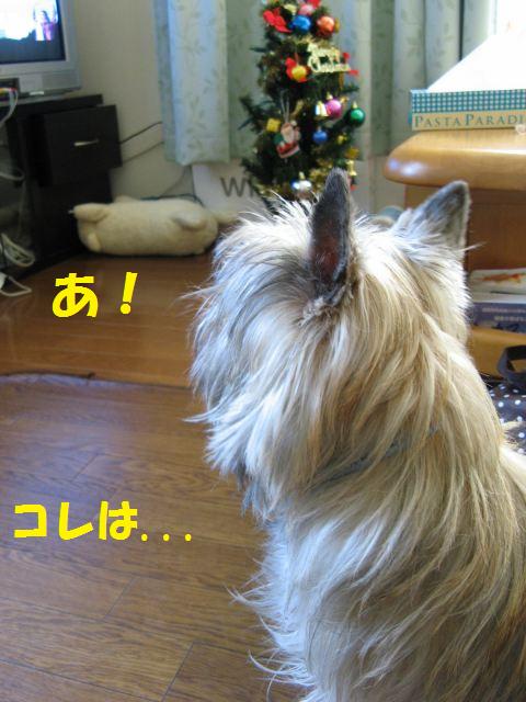 c0202659_024652.jpg