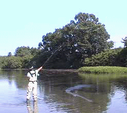 f0084561_16574557.gif