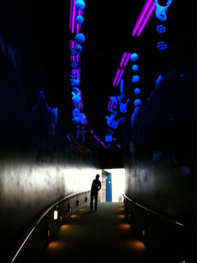 a0001668_0262596.jpg