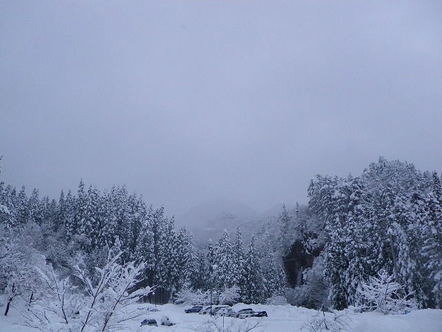 e0078069_8582777.jpg