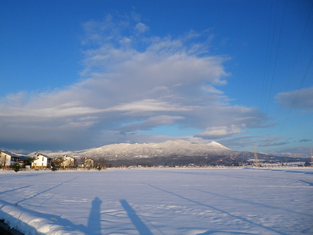 e0078069_8585066.jpg