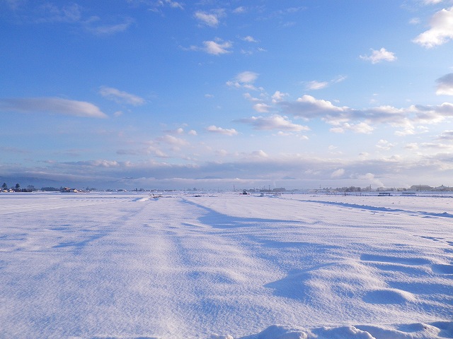 e0078069_8585645.jpg