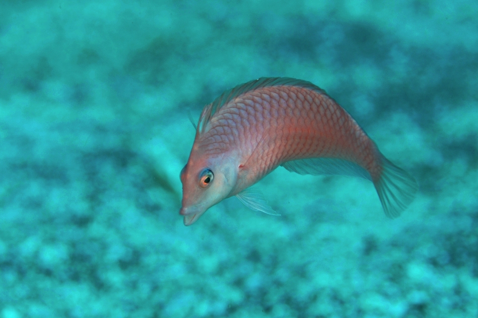 c0181073_11374625.jpg