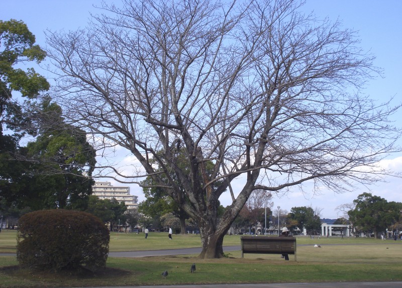 f0165677_2131677.jpg
