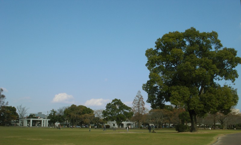 f0165677_2153270.jpg