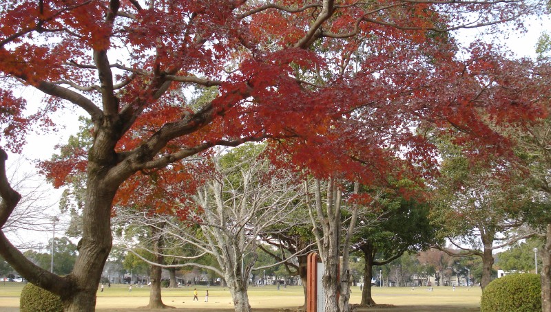 f0165677_2183722.jpg