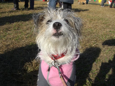 e0192781_9175520.jpg