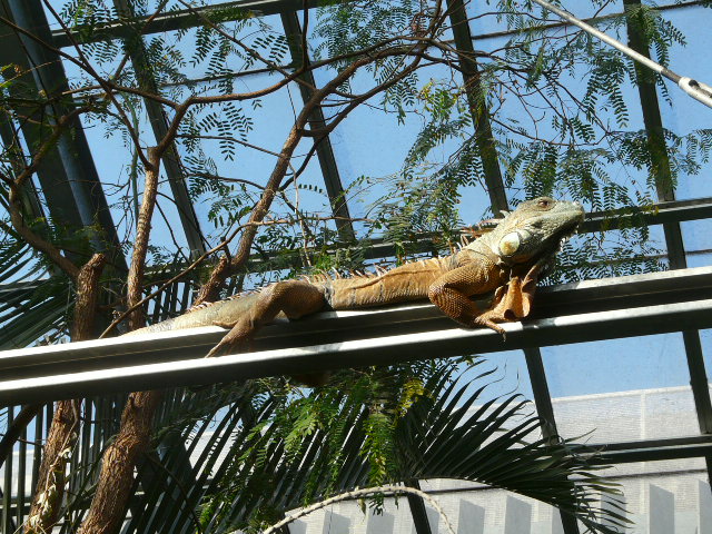 e0145782_1791352.jpg