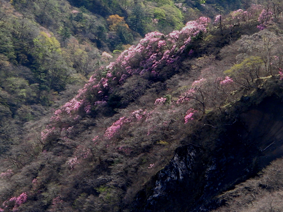 e0165983_12504935.jpg