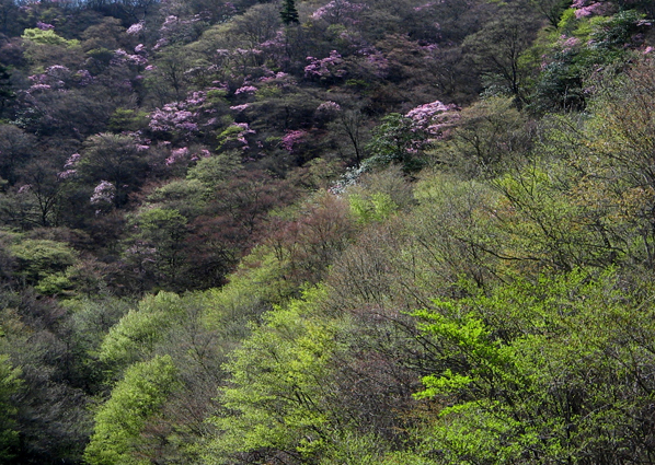 e0165983_12525218.jpg