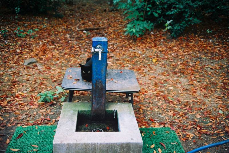 c0160387_852822.jpg