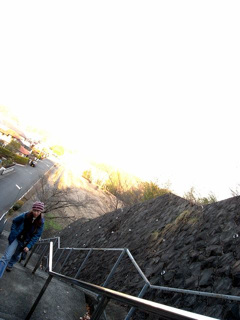 a0093592_21472716.jpg
