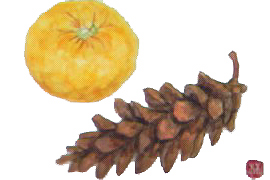 f0008597_13303811.jpg