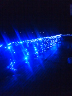 c0202101_255286.jpg