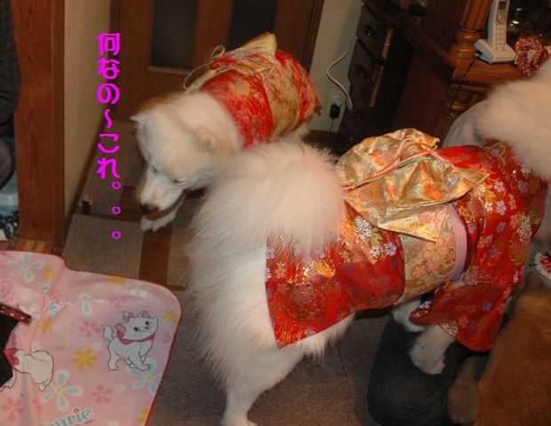 e0018604_171904.jpg