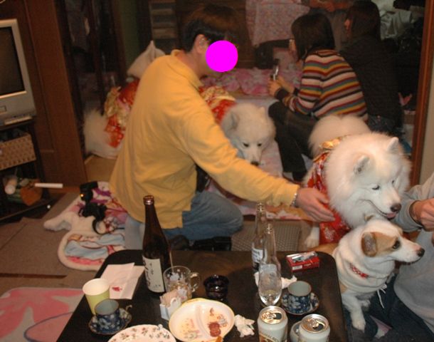 e0018604_17334844.jpg