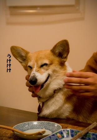 d0104705_014771.jpg