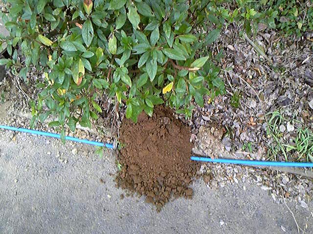 e0015108_13222378.jpg