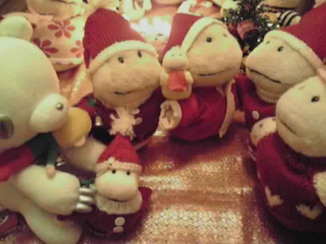 c0067610_13474.jpg