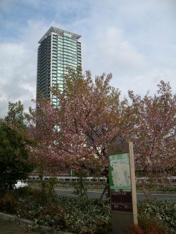 c0190010_22341621.jpg