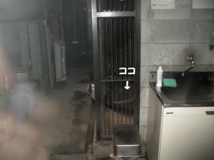 c0190010_2238761.jpg