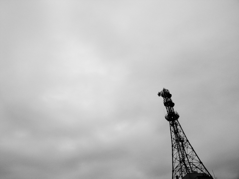 d0146912_1151636.jpg